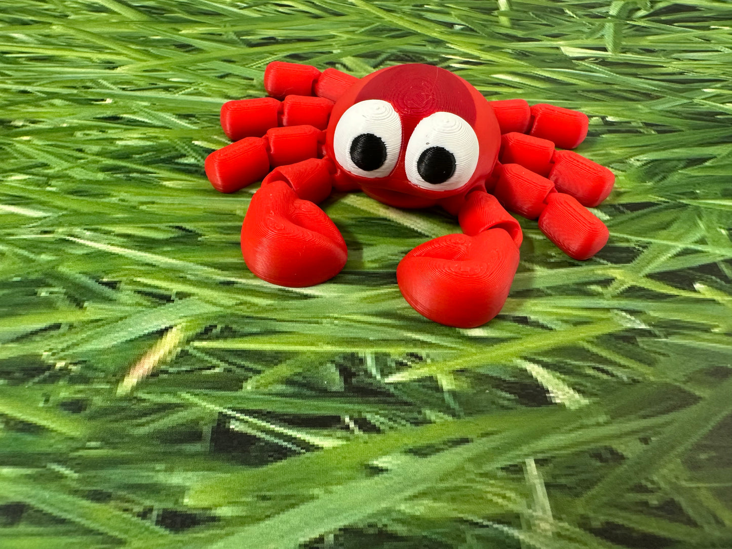 Baby Crabby
