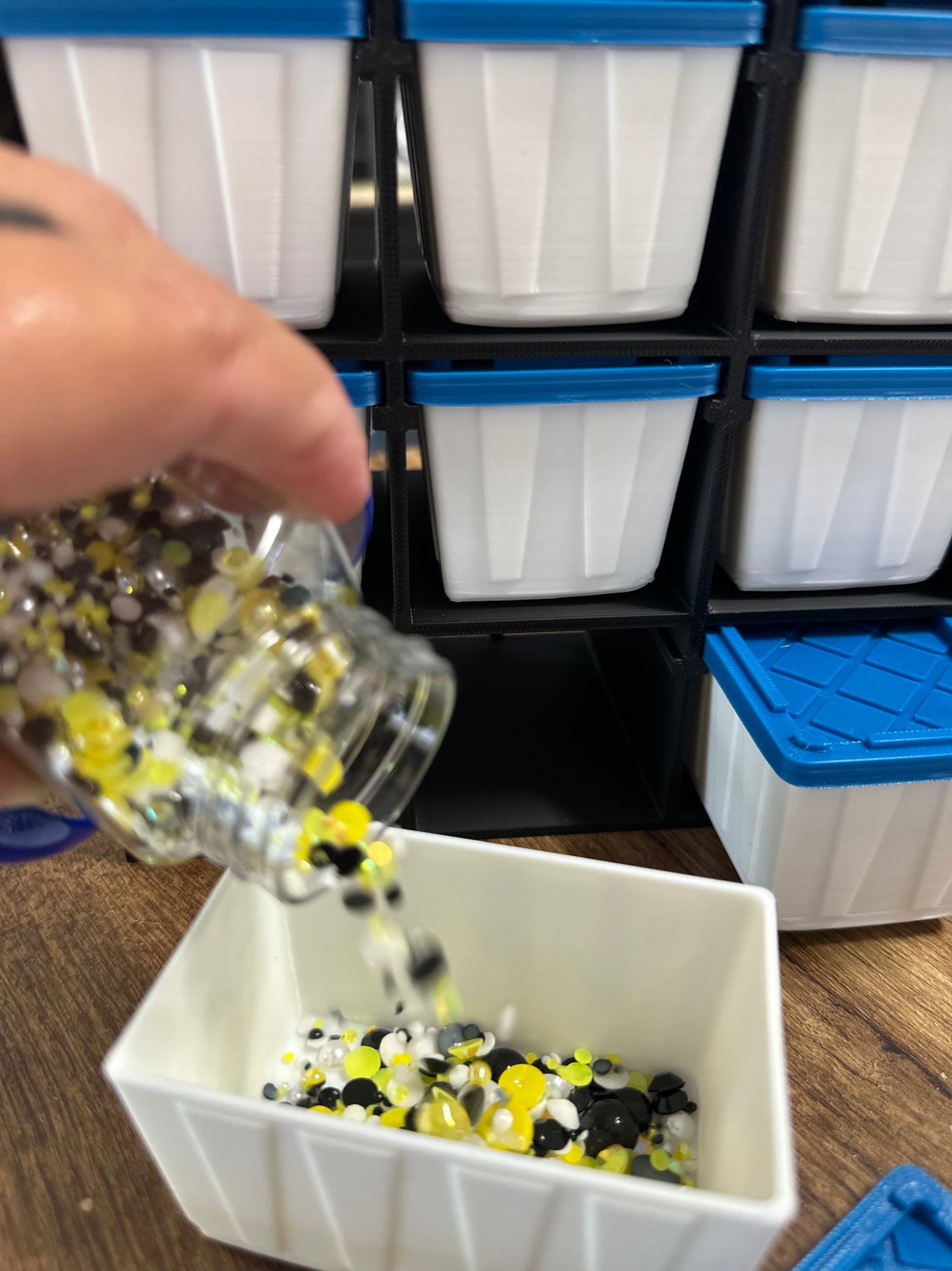 Mini Tote Organizer