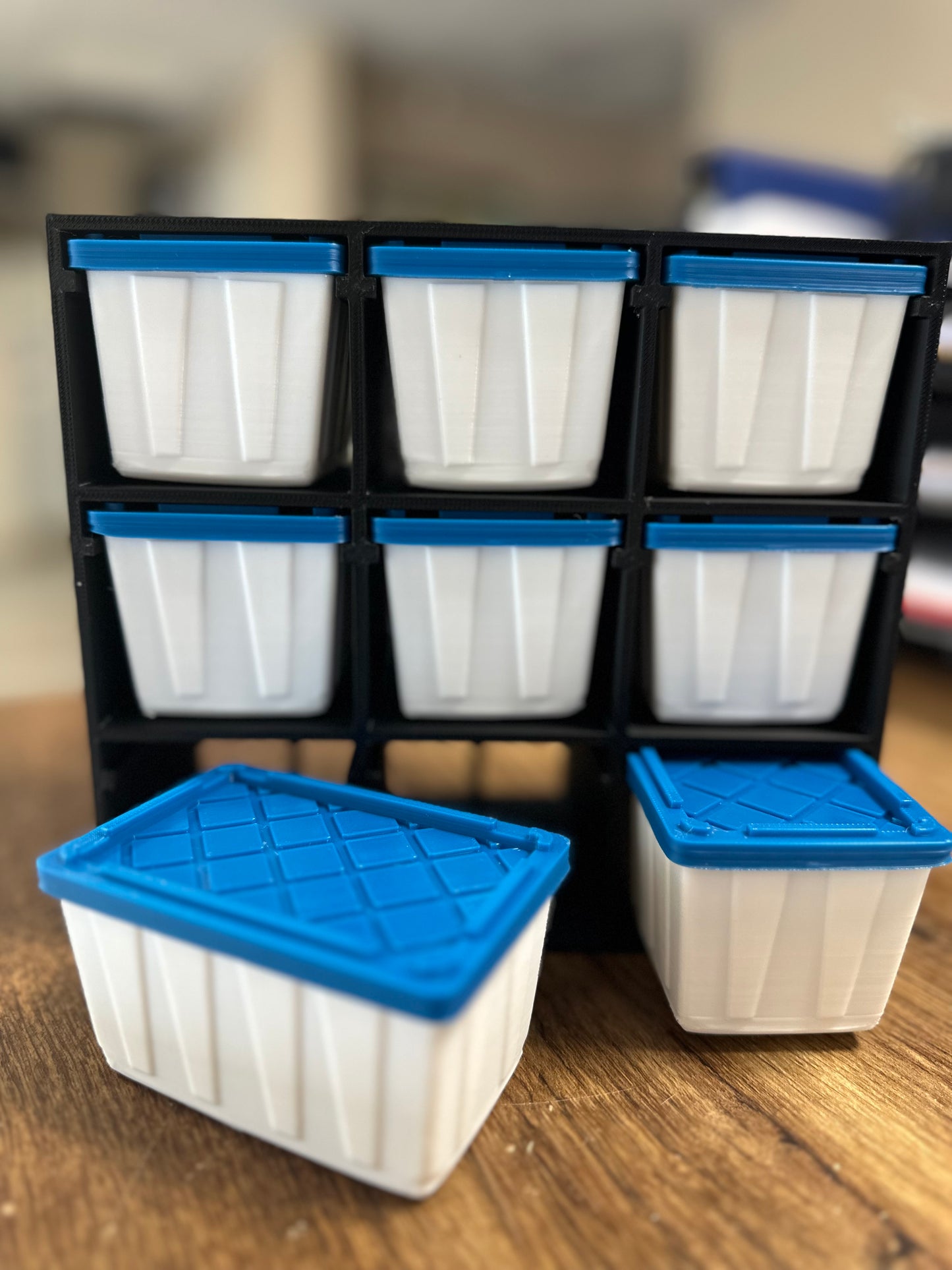 Mini Tote Organizer