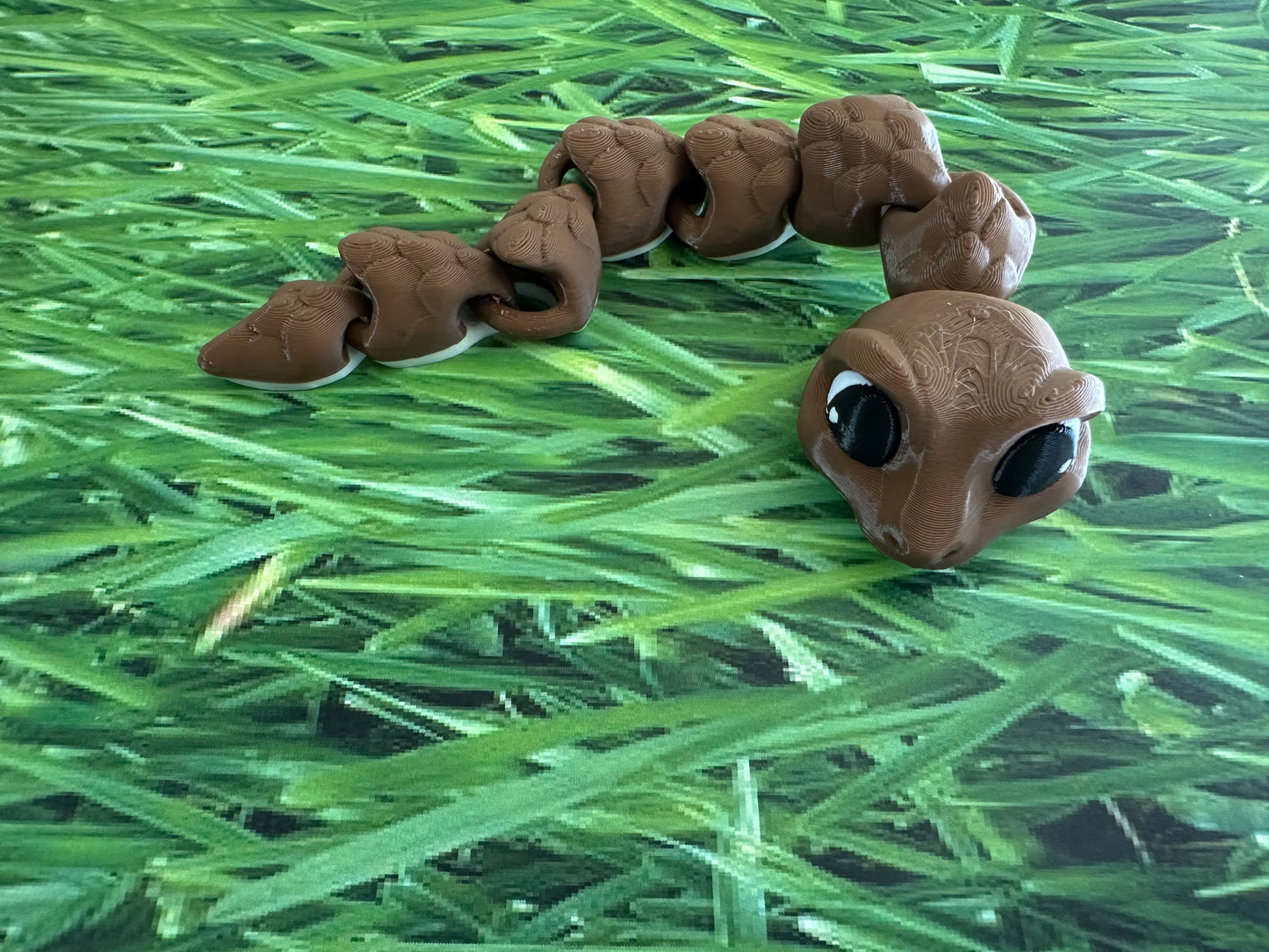Smiley the Snake