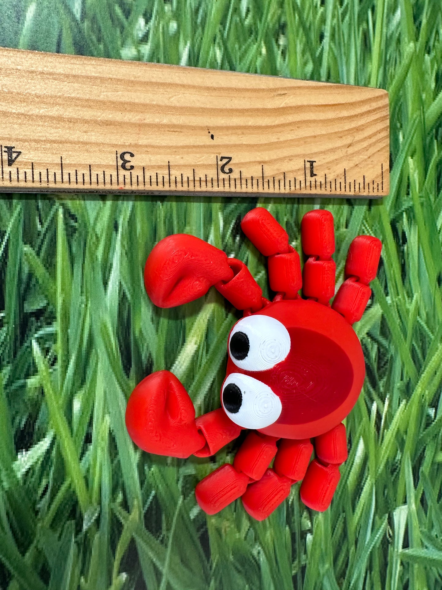 Baby Crabby