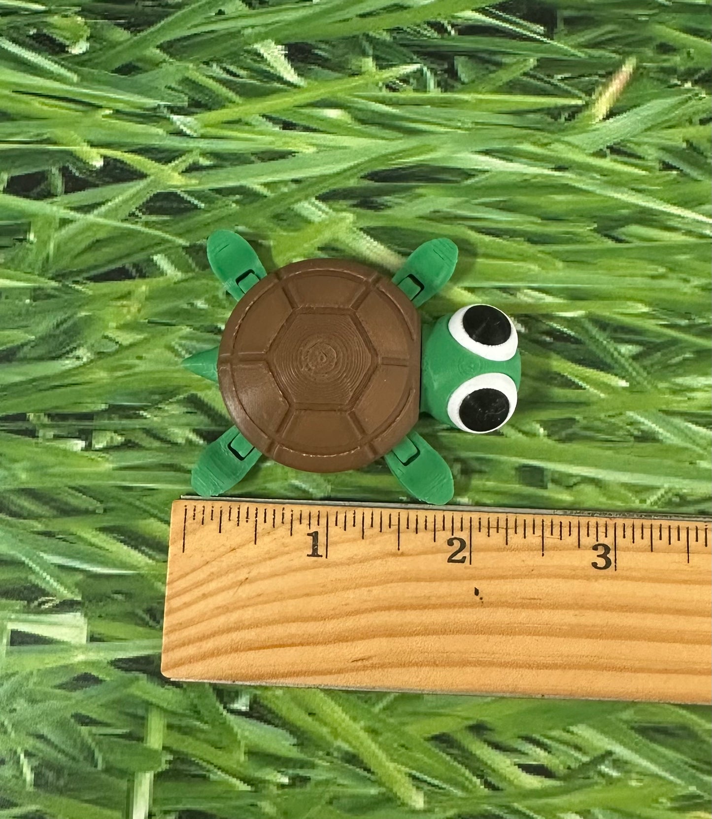 Tiny Turtle