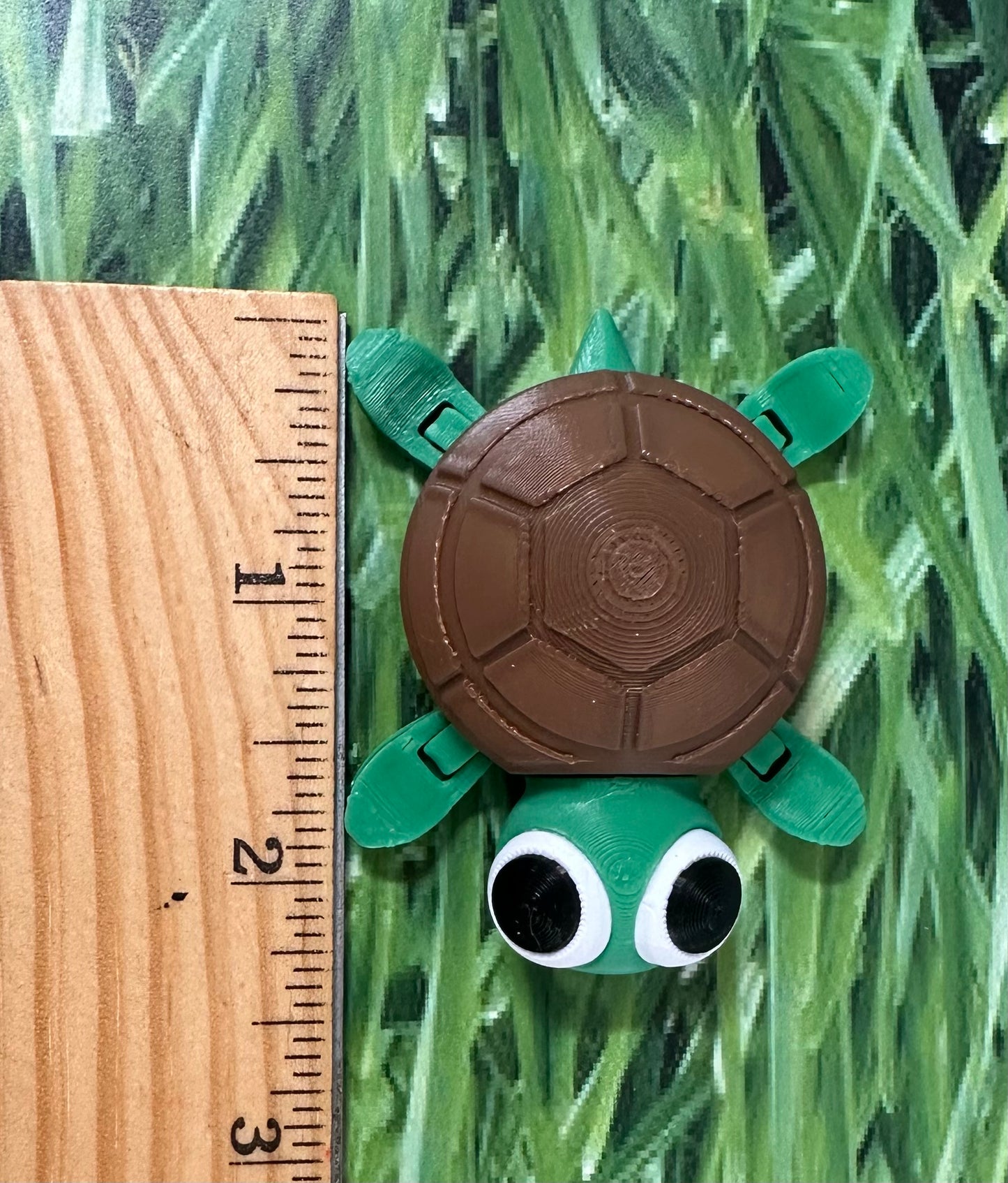 Tiny Turtle