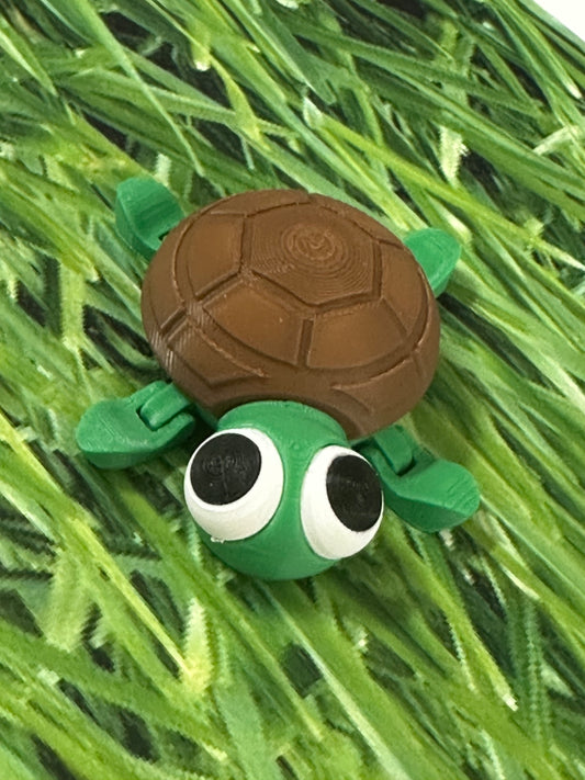 Tiny Turtle